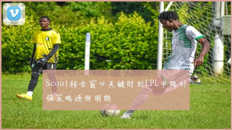 Scout转会窗口关键时刻LPL中路补强策略逐渐明朗
