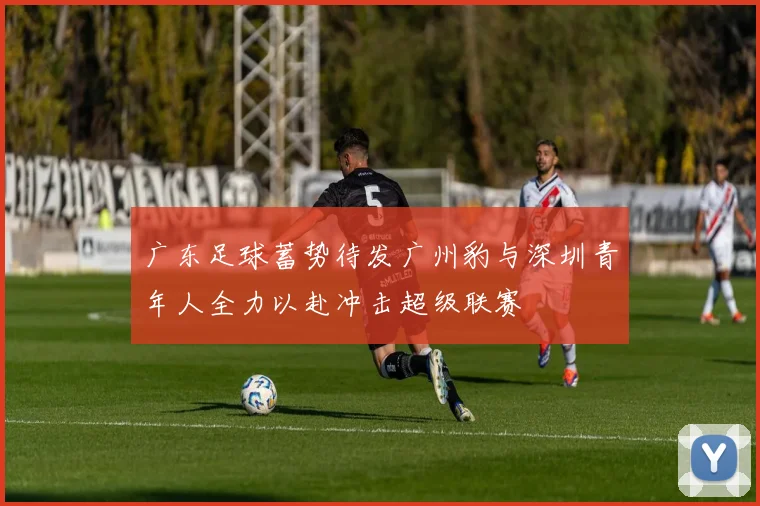 广东足球蓄势待发广州豹与深圳青年人全力以赴冲击超级联赛