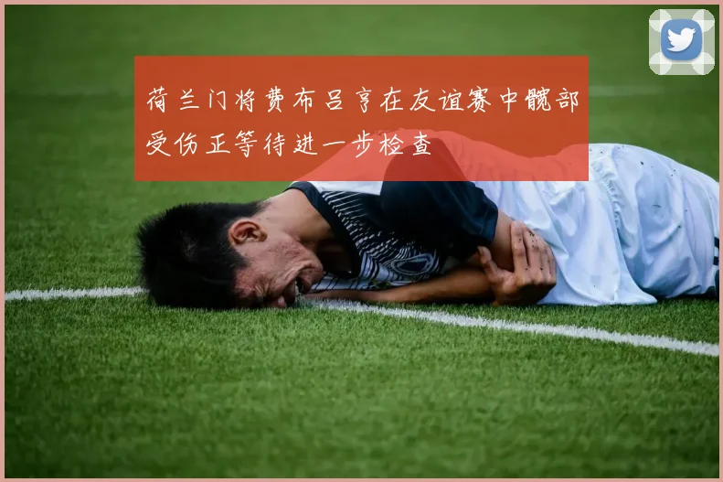 荷兰门将费布吕亨在友谊赛中髋部受伤正等待进一步检查
